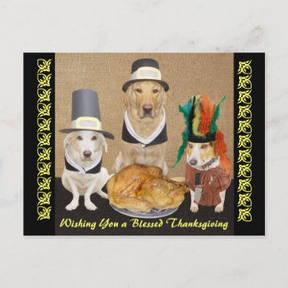 Customizable Funny Dogs Happy Thanksgiving Feiertagspostkarte