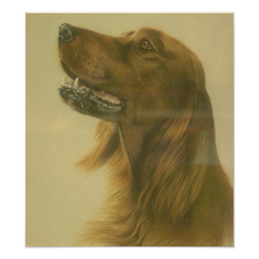 Customizable Irish Setter Art Poster (Vorne)
