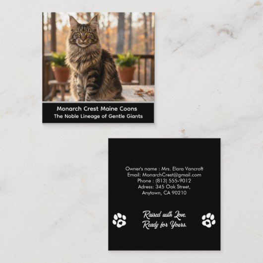 Customizable Maine Coon Cat Cattery Business Card Quadratische Visitenkarte (Vorne/Hinten)