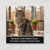 Customizable Maine Coon Cat Cattery Business Card Quadratische Visitenkarte (Vorderseite)