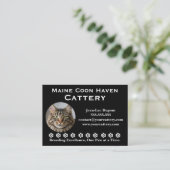 Customizable Maine Coon Cattery Business Card Visitenkarte (Stehend Vorderseite)
