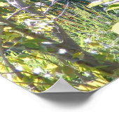 Customizable Okapi Poster (Ecke)