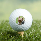 Customizable Pet Photo Pet Parents Golf Lover Gift Golfball (Insitu T-Shirt)