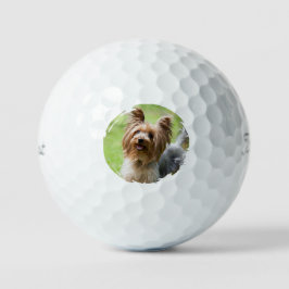 Customizable Pet Photo Pet Parents Golf Lover Gift Golfball