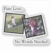 Customizable Pet Photo vinyl Sticker (Vorderseite)