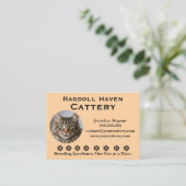 Customizable Ragdoll Cattery Business Card Visitenkarte (Stehend Vorderseite)