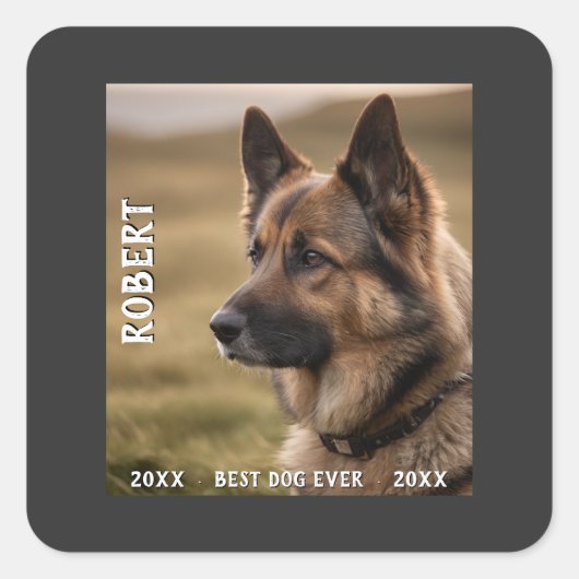 Customized pet memorial best dog ever quadratischer aufkleber (Vorderseite)