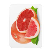 Cut Grapefruit Magnet (Vertikal)