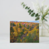 Cut River Valley im Herbst, Michigan Postkarte (Stehend Vorderseite)