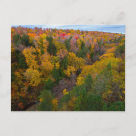 Cut River Valley im Herbst, Michigan Postkarte
