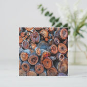 Cut Tree Logs Stacked Together Pattern Photograph Karte (Stehend Vorderseite)