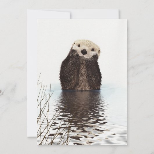 Cute Adorable Fluffy Otter Animal Karte (Rückseite)