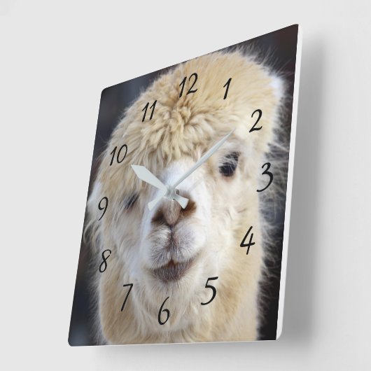 Cute Alpaca face Quadratische Wanduhr (Winkel)