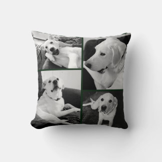 Cute and Funny Black and White Dog Photos Green Kissen