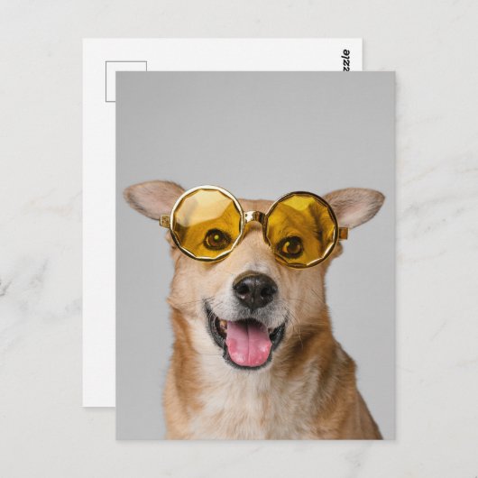 cute and funny dog with glasses postkarte (Vorne/Hinten)