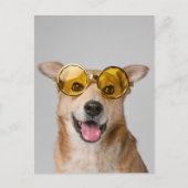 cute and funny dog with glasses  postkarte (Vorderseite)