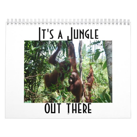 Cute Animal Photography Orangutan Calendar Kalender (Titelbild)