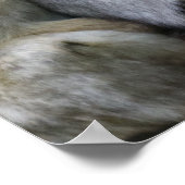 Cute Ape Family Group Hug Photograph Poster (Ecke)