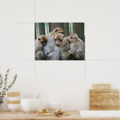 Cute Ape Family Group Hug Photograph Poster (Küche)