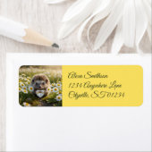 Cute April Hedgehog with Diamond Heart (Insitu)