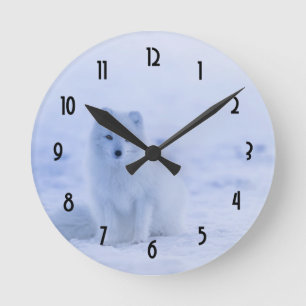 Cute Arctic Fox on Snowy Winter Background Runde Wanduhr