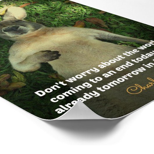 Cute Australia Kangaroo Poster (Ecke)