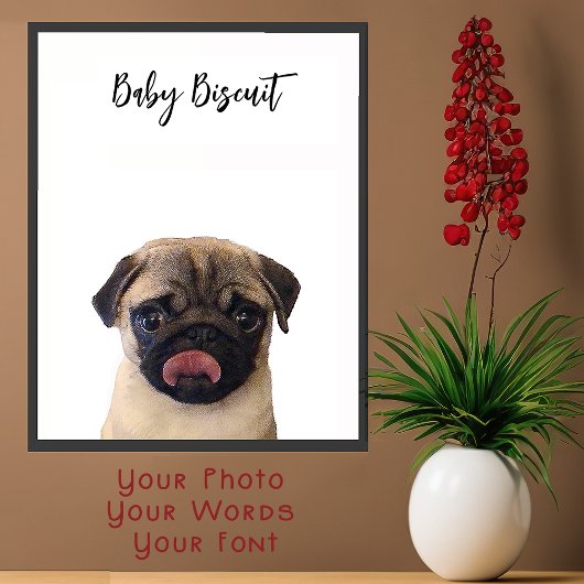 Cute Baby Biscuit Pug Portrait Poster