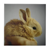 Cute Baby Bunny in Hand Fliese (Vorderseite)