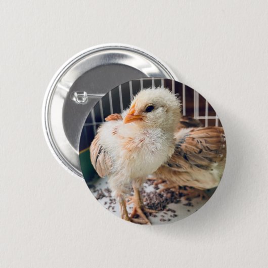 Cute Baby Chick Round Button (Vorne & Hinten)