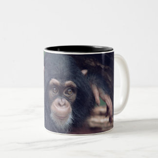 cute baby Chimpanzee Zweifarbige Tasse
