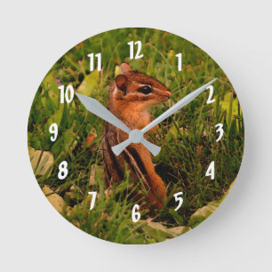 Cute Baby Chipmunk Animal Art Runde Wanduhr