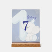 Cute Baby Elephant First Birthday Acrylschild (Vorderseite)