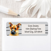 Cute Baby German Shepherd Dog (Insitu)