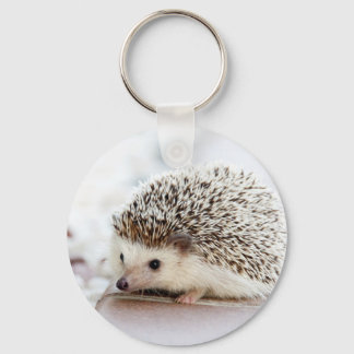 Cute Baby Hedgehog Animal Schlüsselanhänger