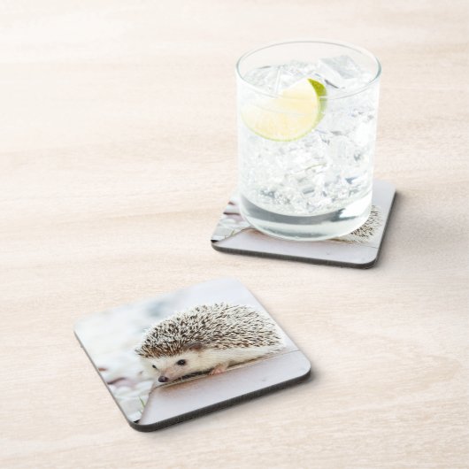 Cute Baby Hedgehog Photo Getränkeuntersetzer (Rechte Seite)