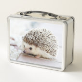 Cute Baby Hedgehog Photo Metall Brotdose (Rückseite)