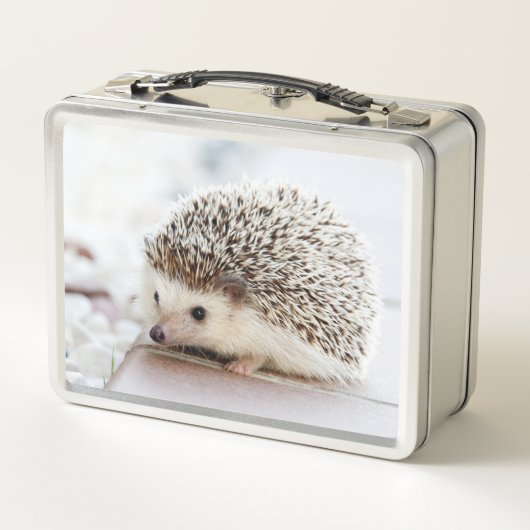Cute Baby Hedgehog Photo Metall Brotdose (Rückseite)