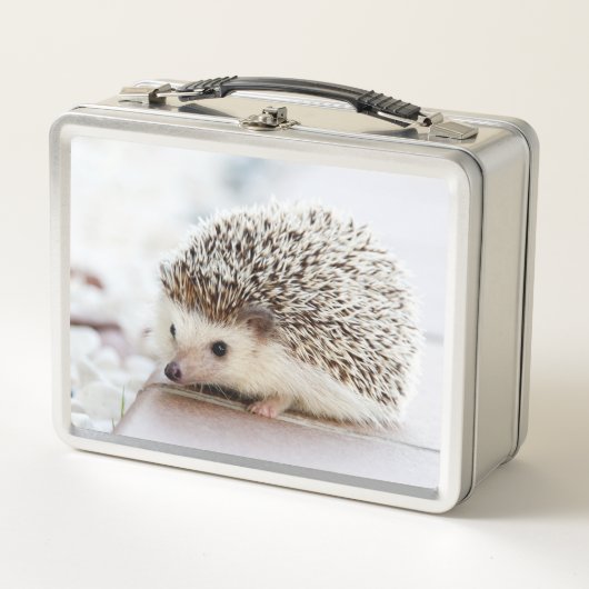 Cute Baby Hedgehog Photo Metall Brotdose (Vorderseite)