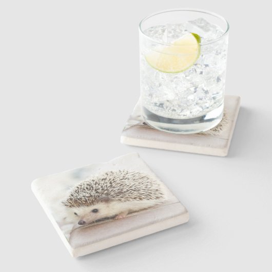 Cute Baby Hedgehog Photo Steinuntersetzer (Seitenansicht)