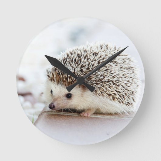 Cute Baby Hedgehog Runde Wanduhr (Vorderseite)