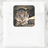 Cute Baby Lion Cub Stickers (Tasche)