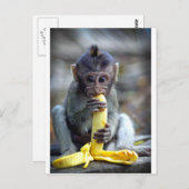 Cute baby macaque monkey eating banana postkarte (Vorne/Hinten)