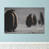Cute Baby Penguin Chicks | unique Photo Art Leinwanddruck (Insitu (Holzboden))