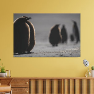 Cute Baby Penguin Chicks   unique Photo Art Leinwanddruck