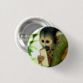 Cute Baby Squirrel Monkey Eating a Wafer Biscuit Button (Vorne & Hinten)