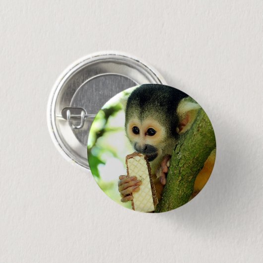 Cute Baby Squirrel Monkey Eating a Wafer Biscuit Button (Vorne & Hinten)