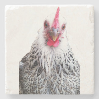Cute Bantam Cochin Hen Photo Stone Coaster Steinuntersetzer