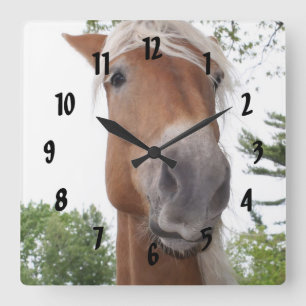 Cute Belgian Draft Horse Face Animal Quadratische Wanduhr