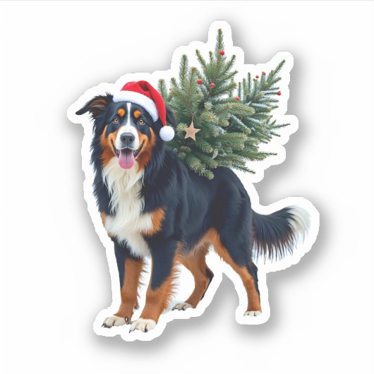 Cute Bernese Mountain Dog in a Christmas Tree for Aufkleber (Vorderseite)