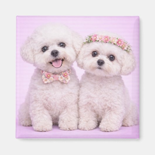 Cute Bichon Frise Couple Valentine Illustration Magnet (Vorne)